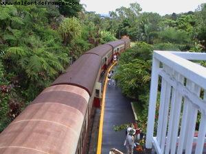 Kuranda - Cairns