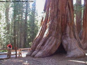 Parc national de Yosemite