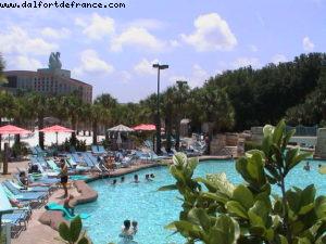 Swan & Dolphin Hotel -Gaydays Orlando