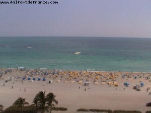 Royal Palm - Miami Beach