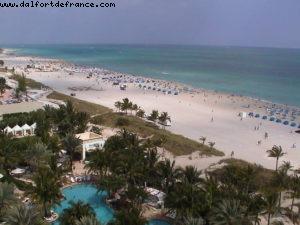 Royal Palm - Miami Beach