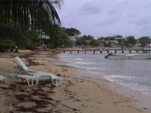 Roatan - Notre 2eme croisière RSVP (à Bord de l'Oosterdam)