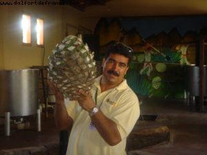 Puerto Vallarta - Our 3rd RSVP cruise (Oosterdam)