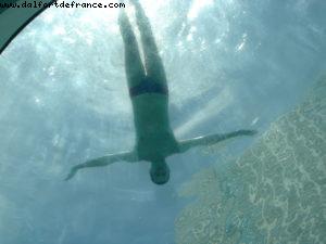 Hôtel Westin Diplomat - Hollywood