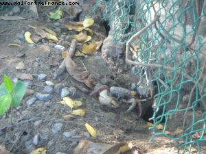 Ixtapa - Notre première croisière Atlantis (à Bord du Radiance of the Seas)