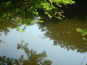 Ixtapa - Notre première croisière Atlantis (à Bord du Radiance of the Seas)