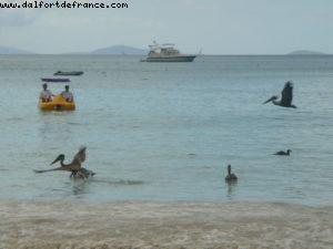 Tortola - Our 4th RSVP Cruise (Westerdam)