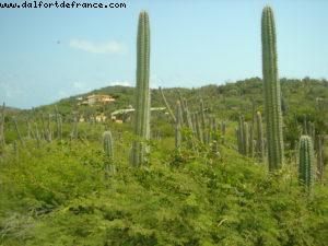 Aruba - Our 2nd Atlantis cruise (Celebrity Constellation)
