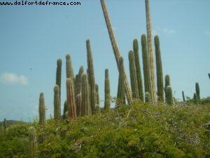 Aruba - Our 2nd Atlantis cruise (Celebrity Constellation)