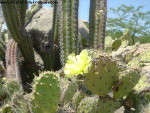 Aruba - Our 2nd Atlantis cruise (Celebrity Constellation)