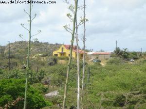 Aruba - Our 2nd Atlantis cruise (Celebrity Constellation)