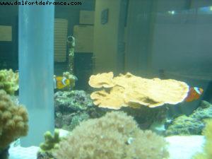 Epcot - Disney Gaydays - Walt Disney World