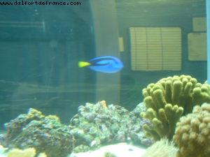 Epcot - Disney Gaydays - Walt Disney World