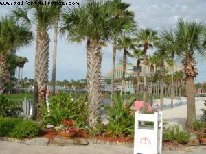 Dolphin Hotel - Walt Disney World