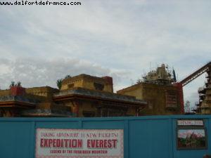 Animal Kingdom - Disney Gaydays - Walt Disney World