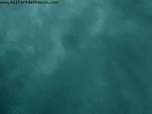 Transatlantic Crossing cruise (Queen Mary 2)