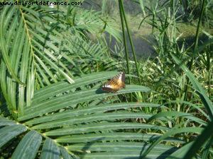 Grand Cayman Island - Our 11th Cruise (Explorer of the seas)