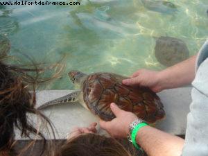 Grand Cayman Island - Our 11th Cruise (Explorer of the seas)