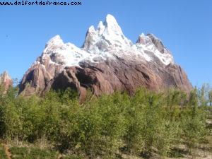 Animal Kingdom - Walt Disney World