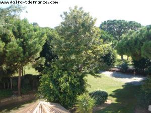 Pine Cliffs Sheraton Algarve Hotel - Albufeira