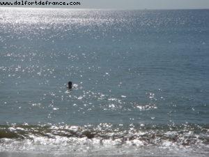 Pine Cliffs Sheraton Algarve Hotel - Albufeira