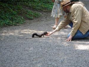 Schönbrunn Palace - Vienna