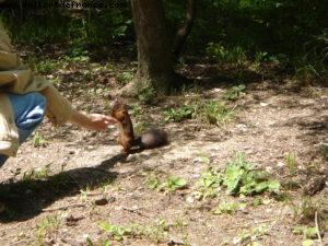 Schönbrunn Palace - Vienna