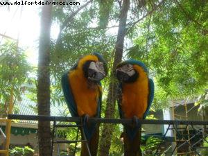 Grand Cayman - Our 6th Atlantis cruise (Navigator of the Seas)