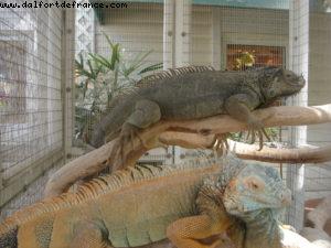 Grand Cayman - Our 6th Atlantis cruise (Navigator of the Seas)