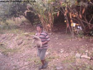 Limon - Our 6th RSVP cruise (Westerdam)