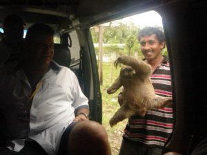 Limon - Our 6th RSVP cruise (Westerdam)