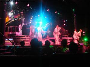 Our 6th RSVP cruise (Westerdam)