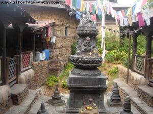 Animal Kingdom - Gaydays - Walt Disney World