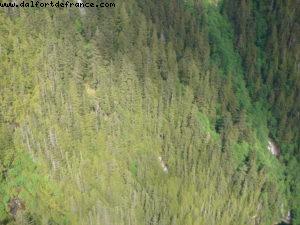 Ketchikan - Our 7th Atlantis cruise (Celebrity Infinity)