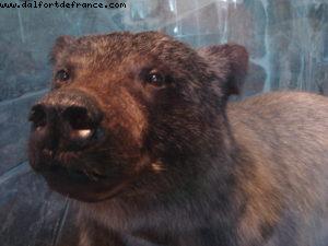 Juneau - Our 7th Atlantis cruise (Celebrity Infinity)