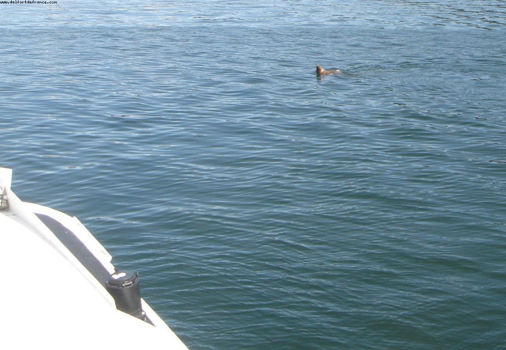 Juneau - Our 7th Atlantis cruise (Celebrity Infinity)