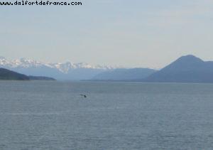 Juneau - Our 7th Atlantis cruise (Celebrity Infinity)