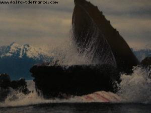 Juneau - Our 7th Atlantis cruise (Celebrity Infinity)