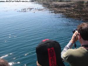 Sitka - Our 7th Atlantis cruise (Celebrity Infinity)