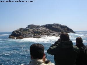 Sitka - Our 7th Atlantis cruise (Celebrity Infinity)