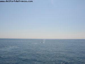 Sitka - Our 7th Atlantis cruise (Celebrity Infinity)