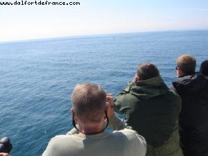 Sitka - Our 7th Atlantis cruise (Celebrity Infinity)