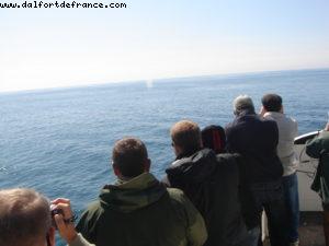 Sitka - Our 7th Atlantis cruise (Celebrity Infinity)