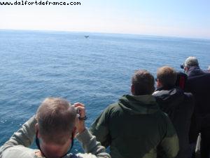 Sitka - Our 7th Atlantis cruise (Celebrity Infinity)