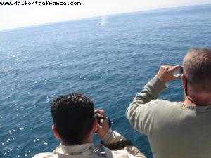 Sitka - Our 7th Atlantis cruise (Celebrity Infinity)