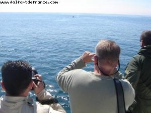 Sitka - Our 7th Atlantis cruise (Celebrity Infinity)