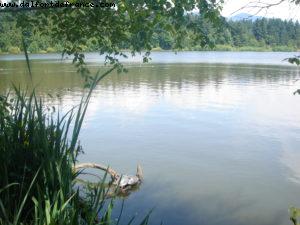 Vancouver - Our 7th Atlantis cruise (Celebrity Infinity)