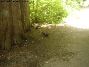 Vancouver - Our 7th Atlantis cruise (Celebrity Infinity)