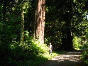 Vancouver - Our 7th Atlantis cruise (Celebrity Infinity)