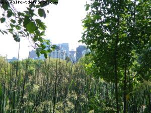 Vancouver - Our 7th Atlantis cruise (Celebrity Infinity)